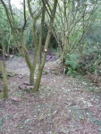  View towards well from path